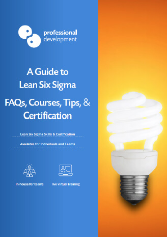 
		
		Lean Six Sigma Belts and Roles
	
	 Guide