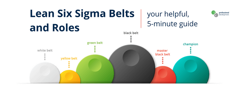 different six sigma belts