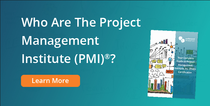 Who are the Project Management Institute (PMI)